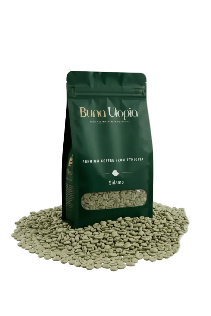 Ethiopian Sidamo Green Coffee Beans Grade 1 – Unroasted | Home Roasting | 12oz